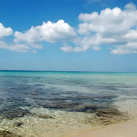 Bed & Breakfast Tallyho 3*