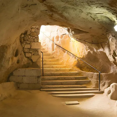 Tallyho Bed & Breakfast Salve